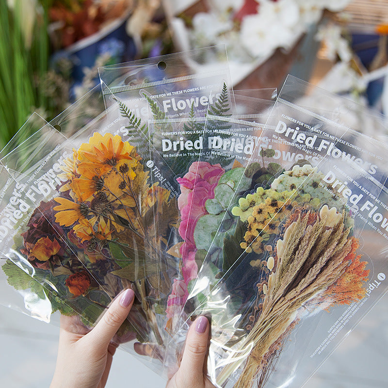 Dried Flowers - PET Collage Stickers (6 Piece / Pack)